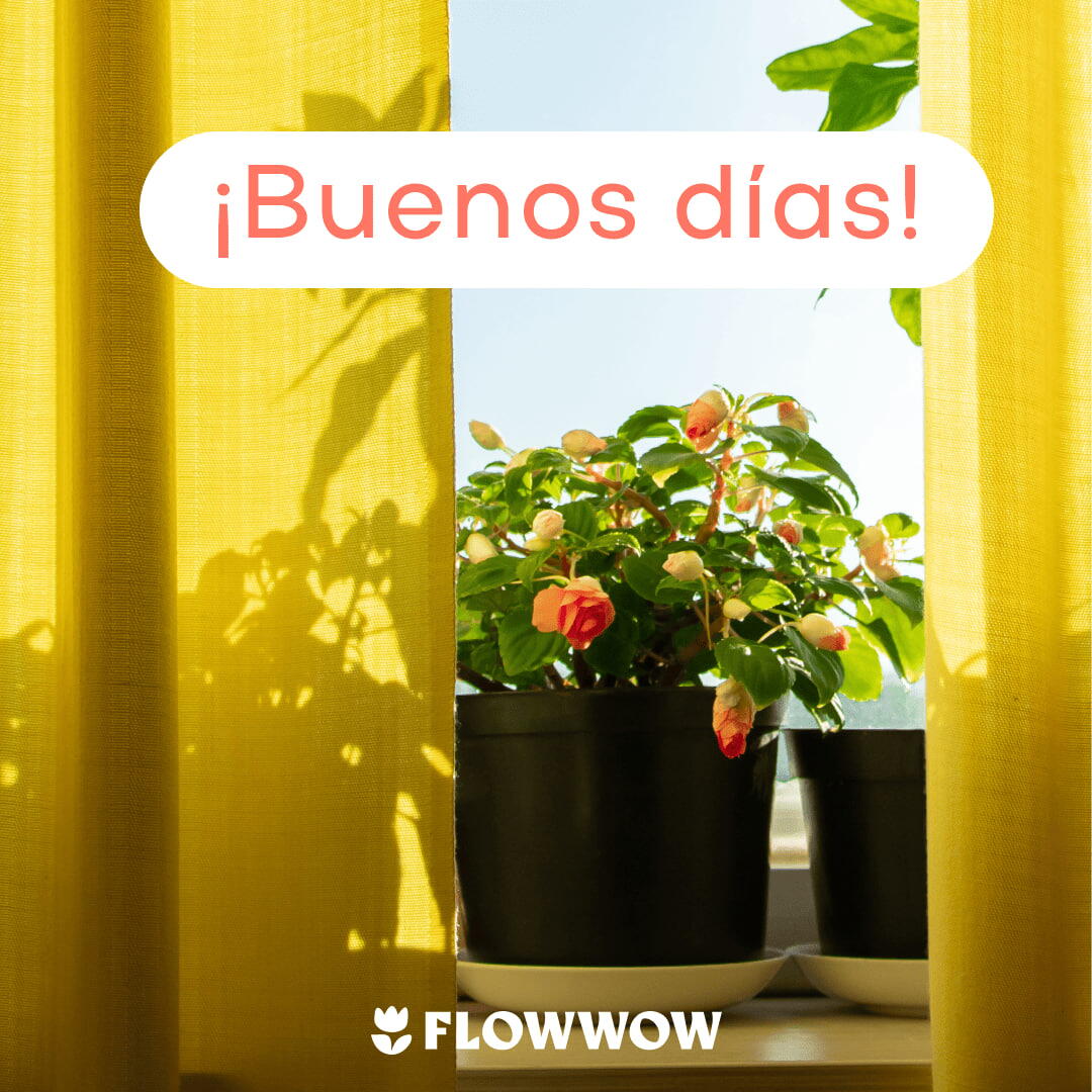 tarjetas de buenos días para whatsapp