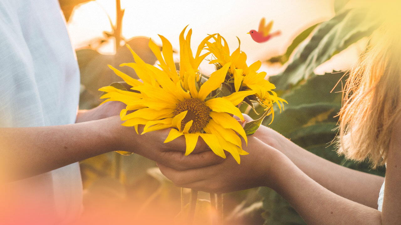 ramo de girasoles significado
