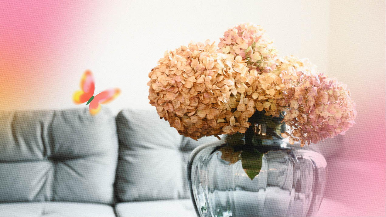 Consejos para el cuidado de la hortensia en jarrón&nbsp;