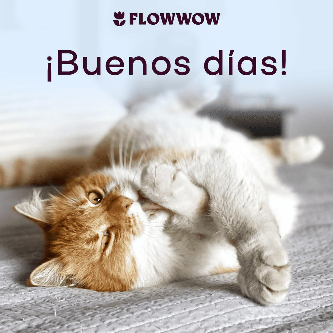 tarjetas de buenos días