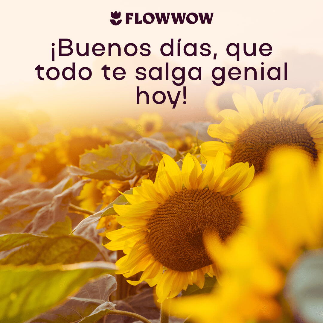 tarjeta de buenos días