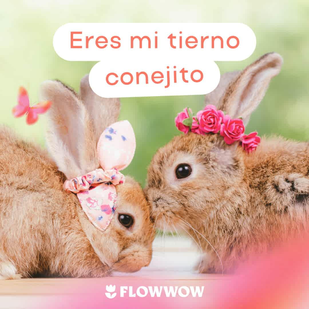 Tarjeta domingo de pascua