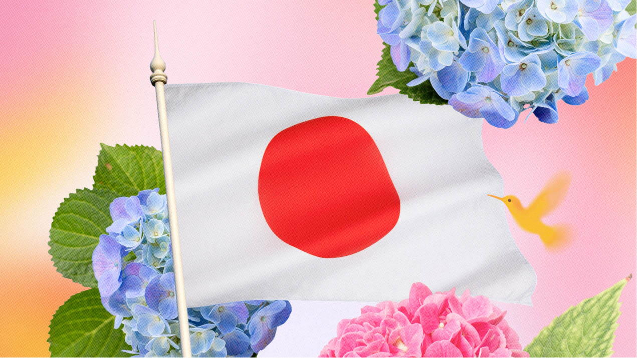 Historia y significado de la flor hortensia