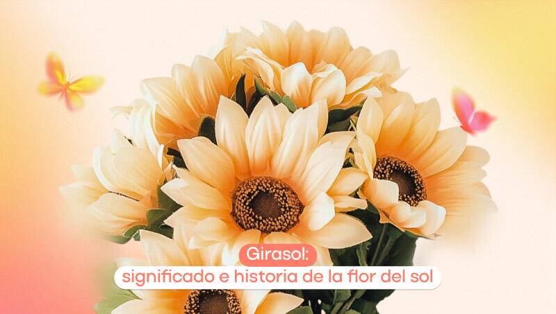 Girasol: significado e historia de la flor del sol