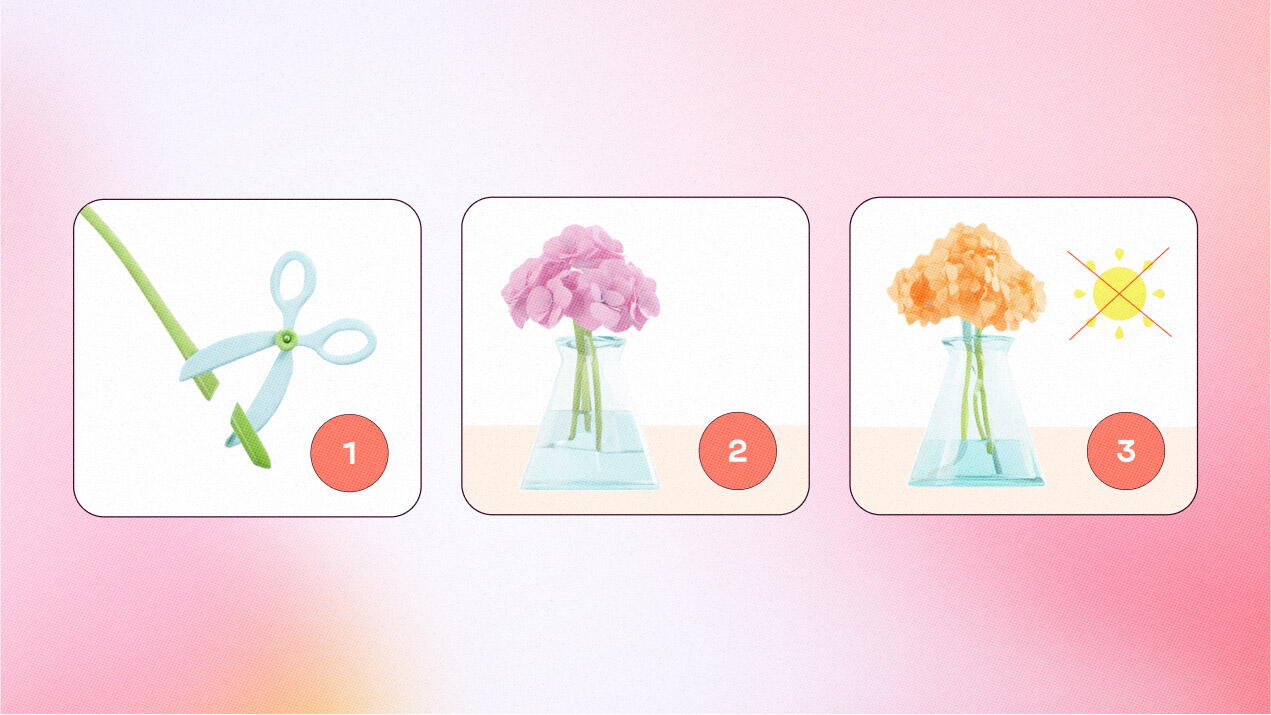 ¿Cómo conservar las hortensias con flores secas?&nbsp;