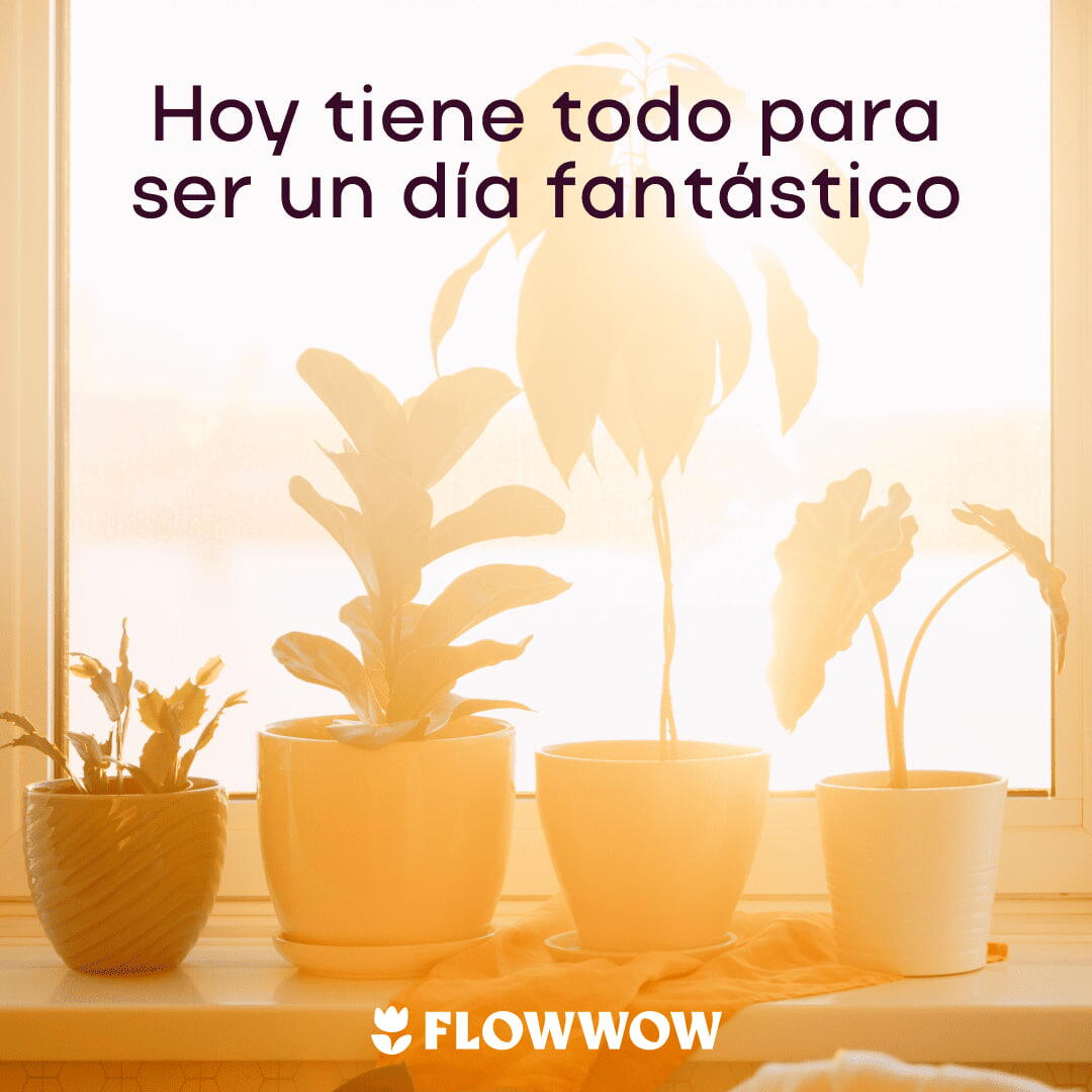 buenos días tarjetas