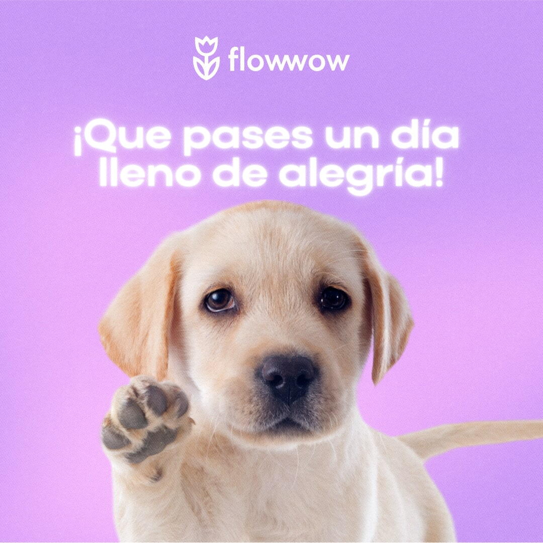 tarjetas de cumpleaños para una chica