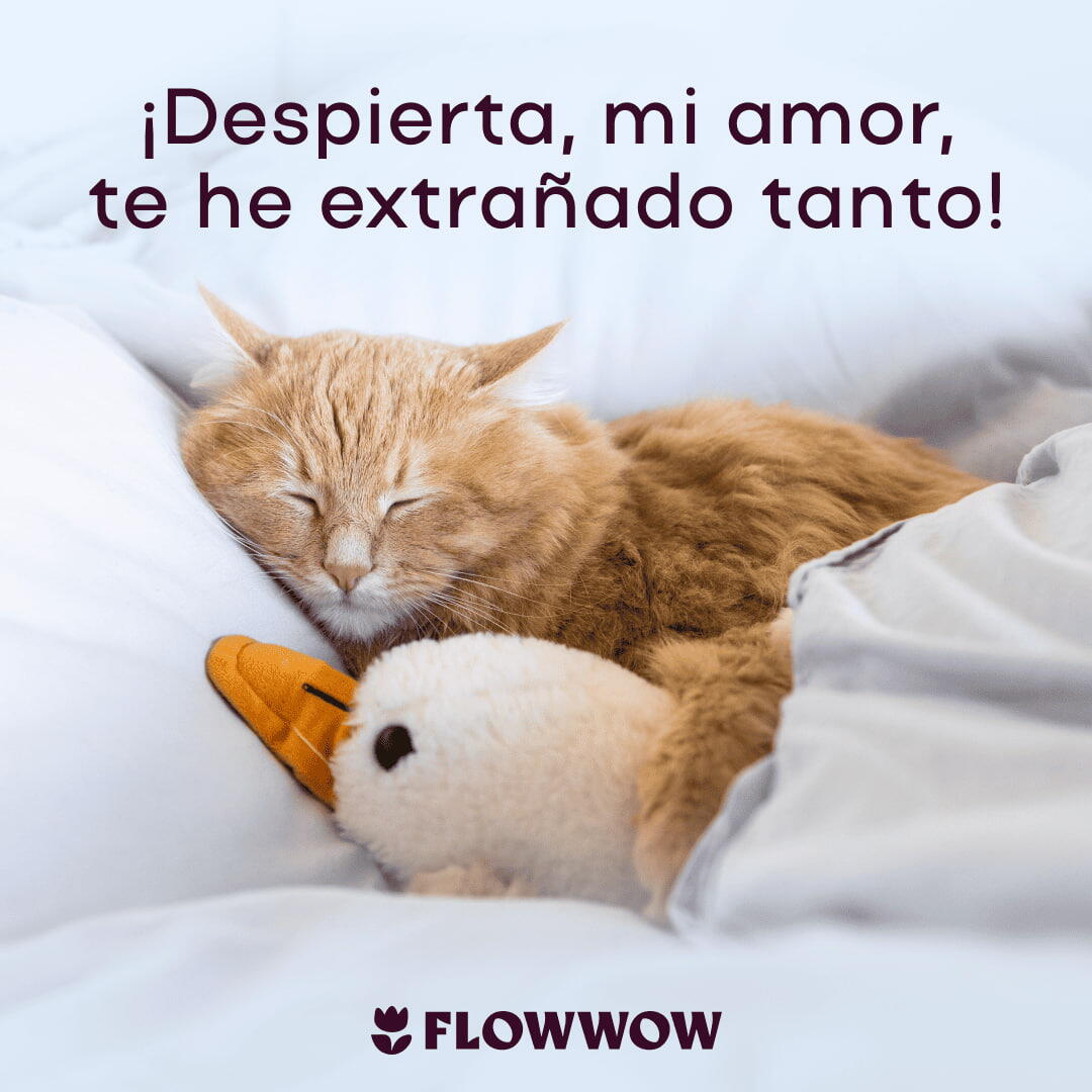 tarjetas de buenos días graciosas