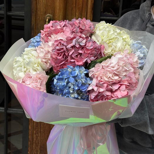 Fairy Fluff Hydrangeas
