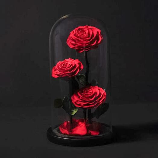 Rosas eternas en cupula (3 rosa)