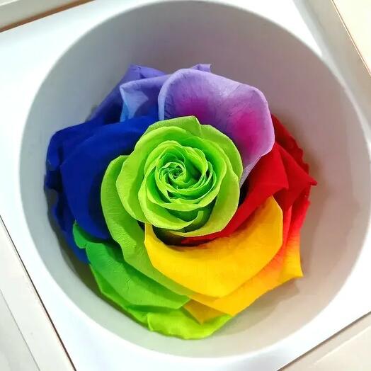 Cabeza de Rosa Eterna Multicolor – Rosa Preservada Arcoiris Decorativa