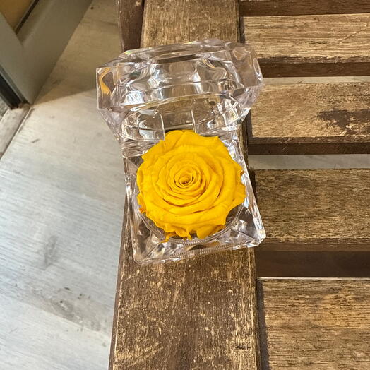 Porta anillos rosa preservada amarilla