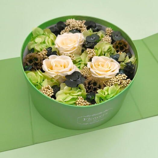 Garden Box