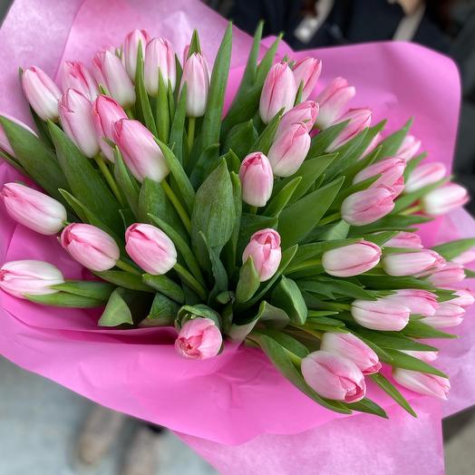 Pink tulips 51