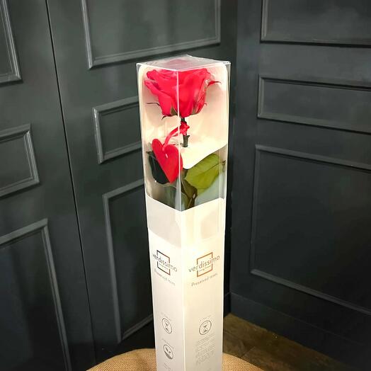 Rosa preservada «Pasion eterna» en caja grande