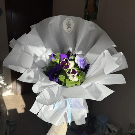 Plant-amo (planta como ramo) con flores de pensamiento