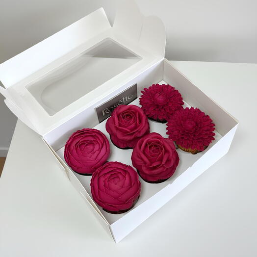 Fuchsia World Box