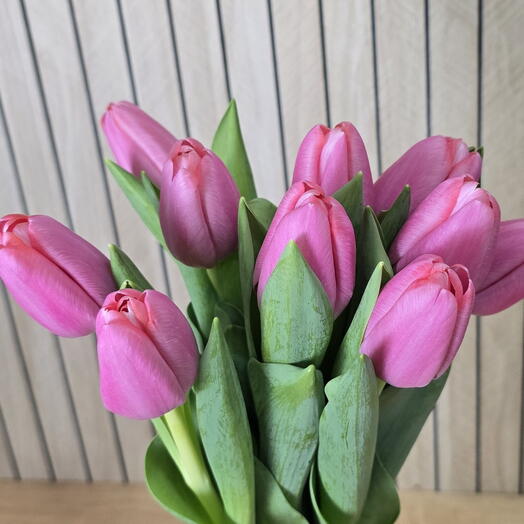 10 Tulipanes rosas