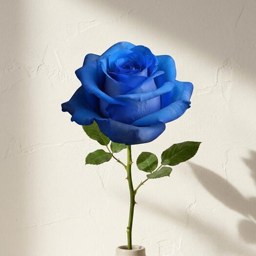 Rosa azul tintada