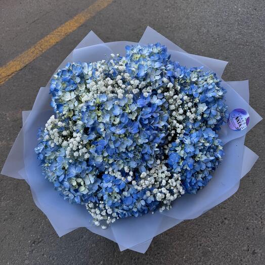 Ramo de Hortensias Azules y Paniculata