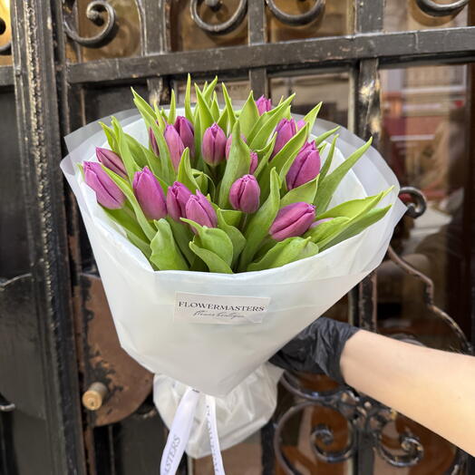 Фіолетовий тюльпан