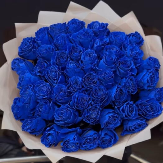 47 rosas azules