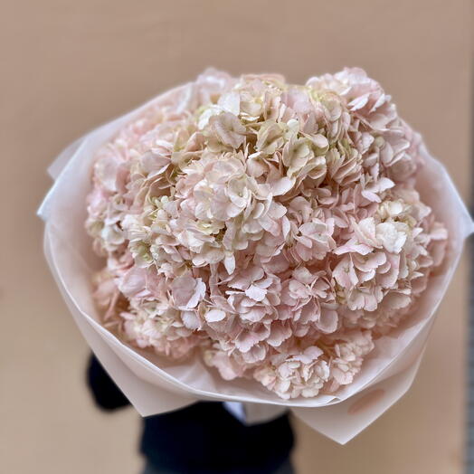 9 hortensias rosadas