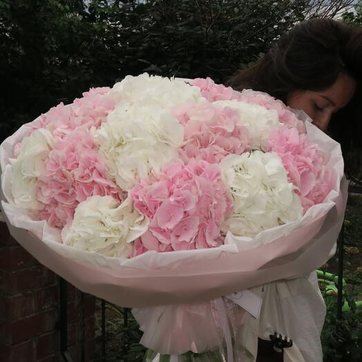 Bouquet d'hortensias