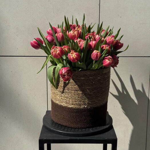 35 tulipanes rosa anaranjados con cesta