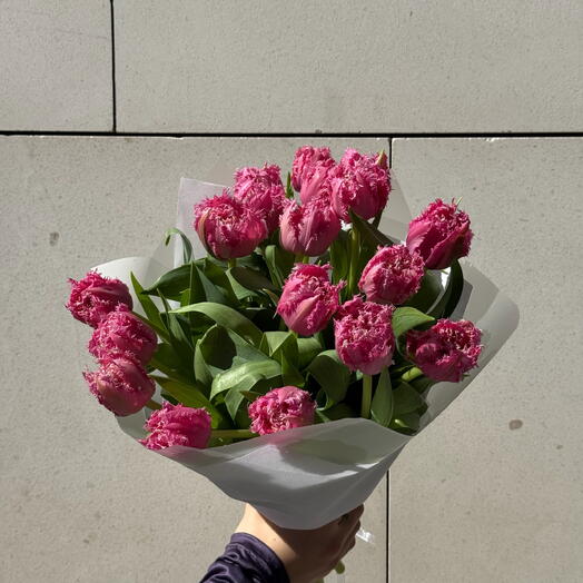 17 tulipanes rosados