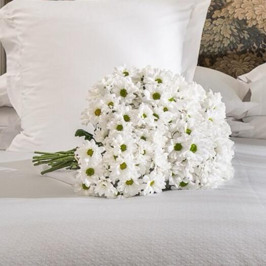 Bouquet of 10 white daisies