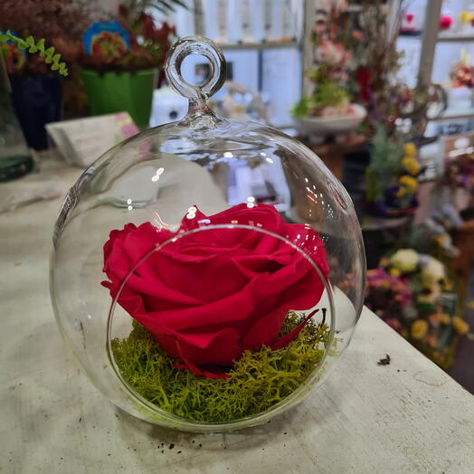 Rosa Fucsia Eterna y Musgo en Globo de Cristal