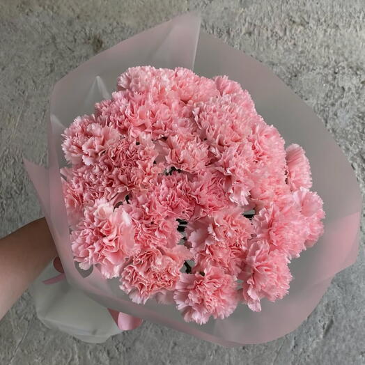 Carnation 35