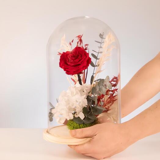 Rosa eterna Especial San Valentin