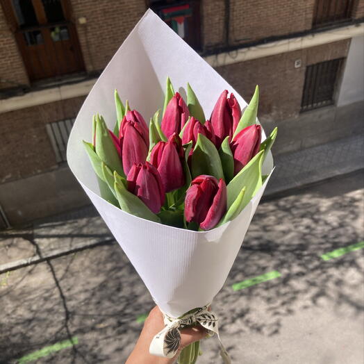 Маджентовые тюльпаны