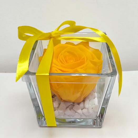 Rosa preservada amarilla