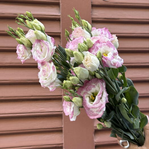 Cotton Candy Pink Lisianthus Bouquet (size S)