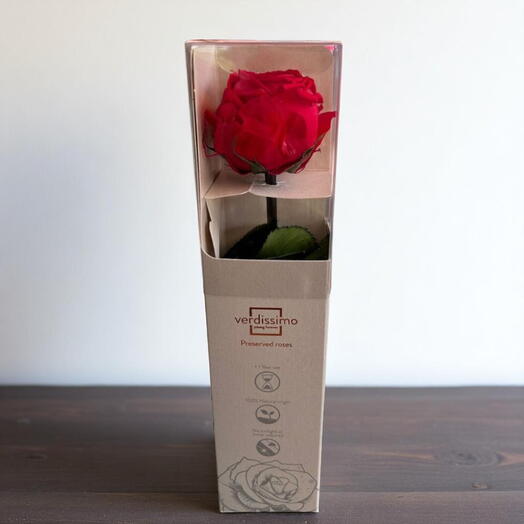 Rosa preservada pequena