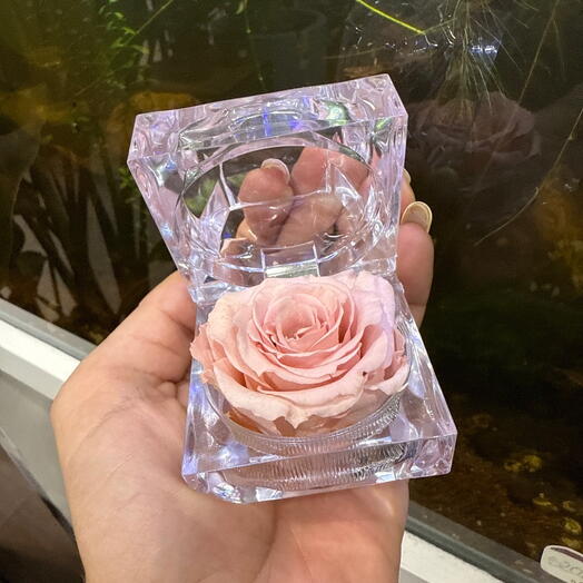 Porta anillos rosa preservada rosita palo