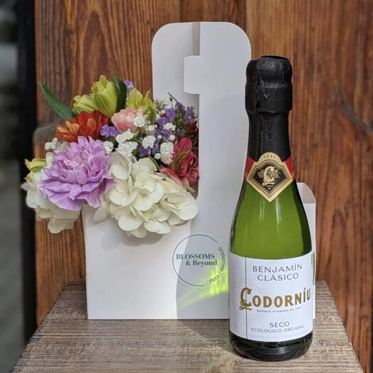 The Celebration Bloom   Sip