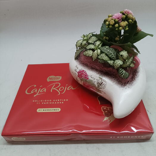 Nestle bonbons and plant with ceramic base