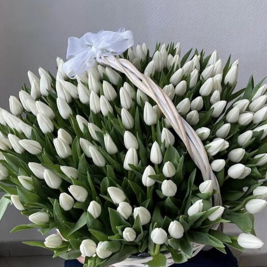 Canasta con 250 tulipanes blancos