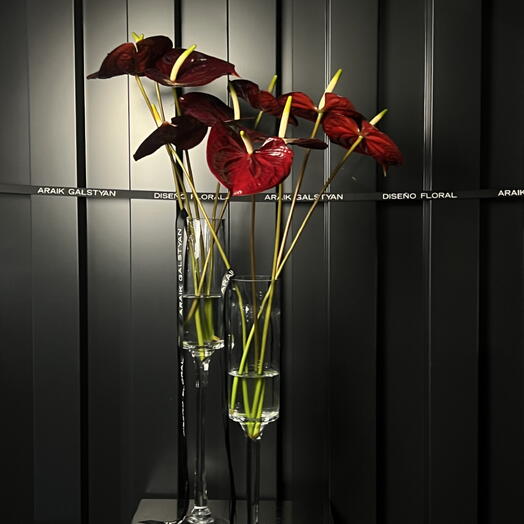 Composicion en Tonos Rojos en Jarrones de Cristal