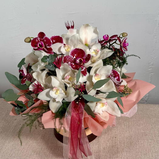 Diva Orchidee - de larga duración, sin mantenimiento- cumpleaños, aniversario, nuevo bebé, regreso a casa, recuperación, regalo de compromiso