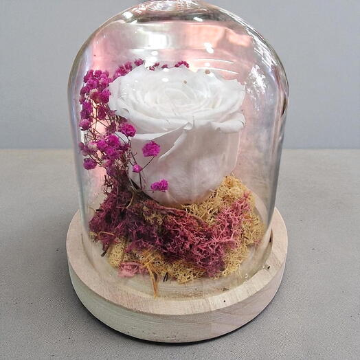 Rosa Blanca Eterna M en Campana de Cristal