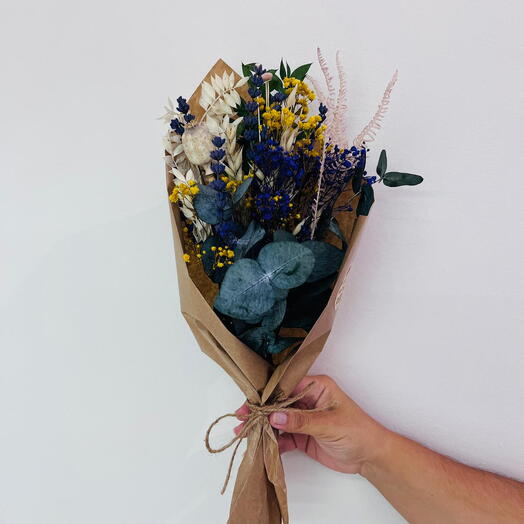 Північний бриз