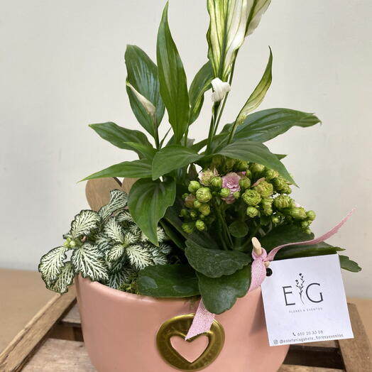 Керамическая подставка для 3 растений