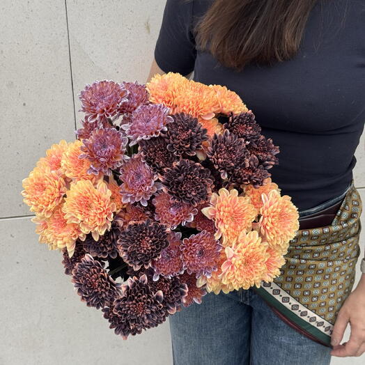 Fire Sunset Chrysanthemum
