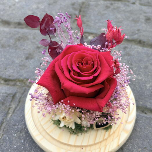 Romance eterno - rosa preservada fucsia - regalo perfecto para el verano - sin agua, sin luz
