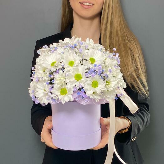 Chamomile chrysanthemums in a hatbox